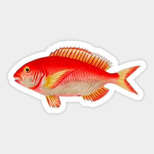 Red fish, colorful vintage design Sticker